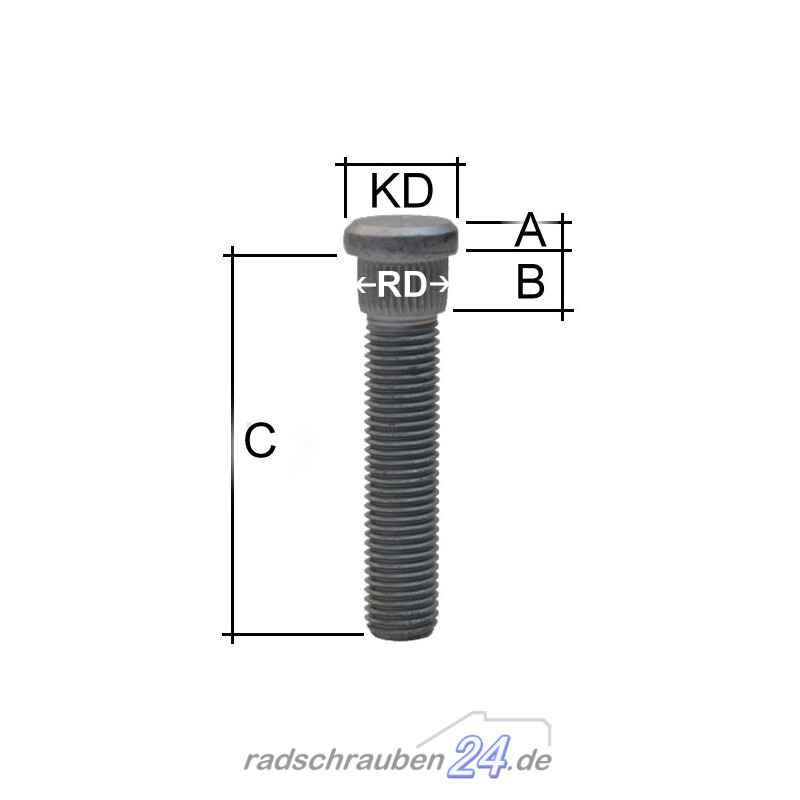 Rändelbolzen M12 x 1,5 x 45 mm RD14,8 mm - radschrauben24.de Onlinesh