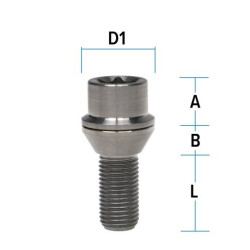 10x Titan Radschraube M14 x 1,25 x 28-43 mm Kegelbund 60° T70