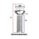 Radschraube M12 x 1,5 x 35mm Kugelbund R12 SW17