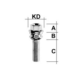 Radschraube M14 x 1,5 Kugelbund R14 zweiteilig SW19 Typ V2V 58 mm