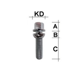 Radschraube M14 x 1,25 Kugelbund R14 zweiteilig SW17 Typ V5V 43 mm